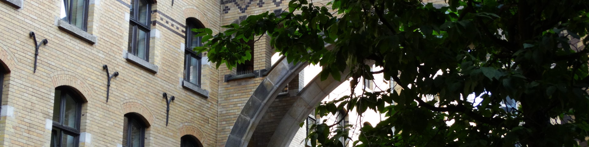 Dsc03683
